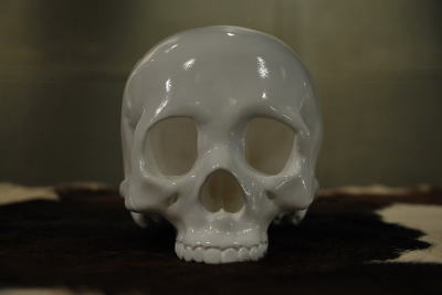 �V�F���^�[�o���N�@�I���W�i���@�g�C�@�h�N���@�q���[�}���@���@�摜�@�O